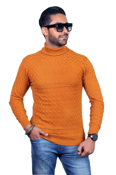 WhatsApp_Image_2025-12-19_at_15.26.01__1_-removebg-preview