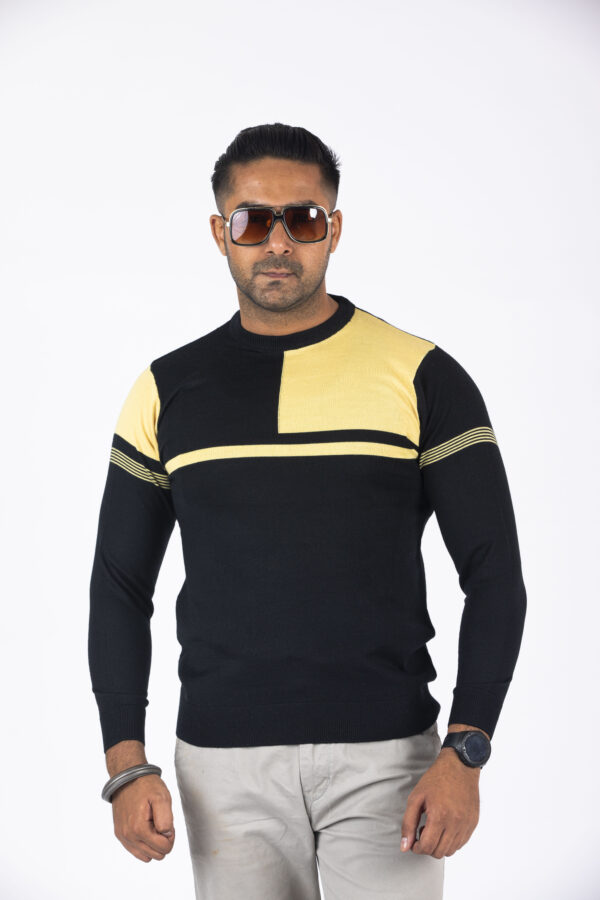 BRATS Round neck Full sleeve Sweater